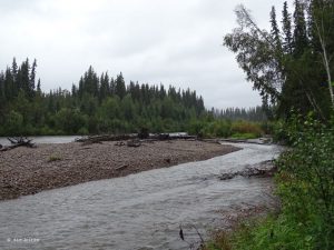 Chena River