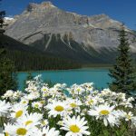 Emerald Lake